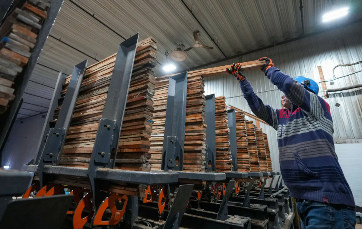 Workers stack and sort as softwood lumber is cut at Groupe Crete, a sawmill in Mont-Blanc, Que., on Jan. 20, 2025. (The Canadian Press/Christinne Muschi) 