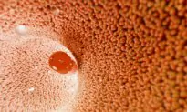 Study Reveals Gut Bacteria Could Be Rewriting Some Prescriptions