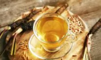 Burdock and Brown Rice: A Time-Honored Tea for Cancer Recovery and More