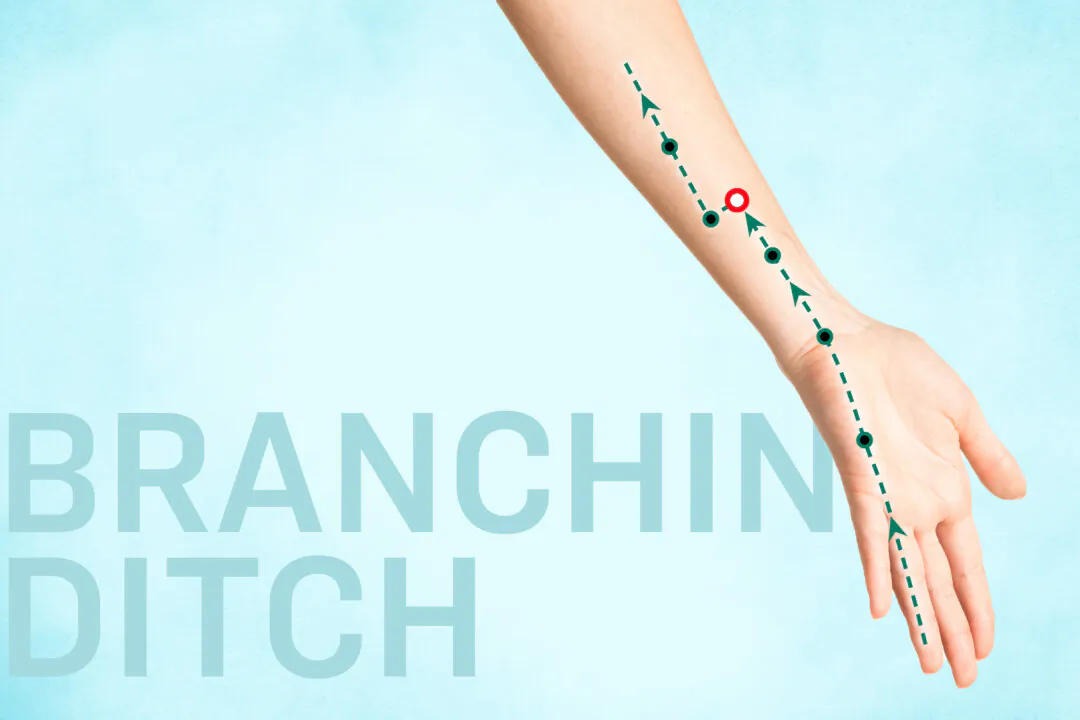 TE6 SJ6 Branching Ditch (Zhi Gou) The Epoch Times