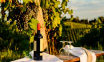 Wine Touring
