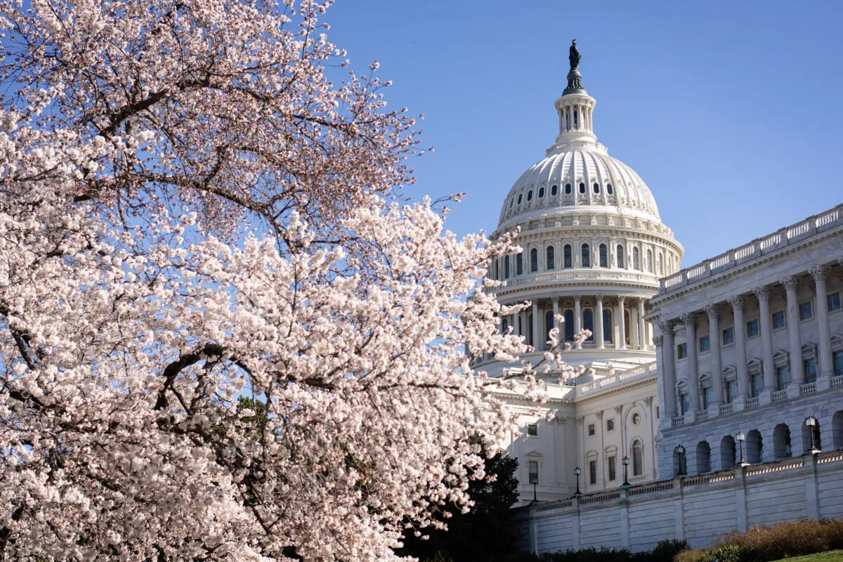 The U.S. Capitol on March 27, 2025. (Madalina Vasiliu/The Epoch Times)