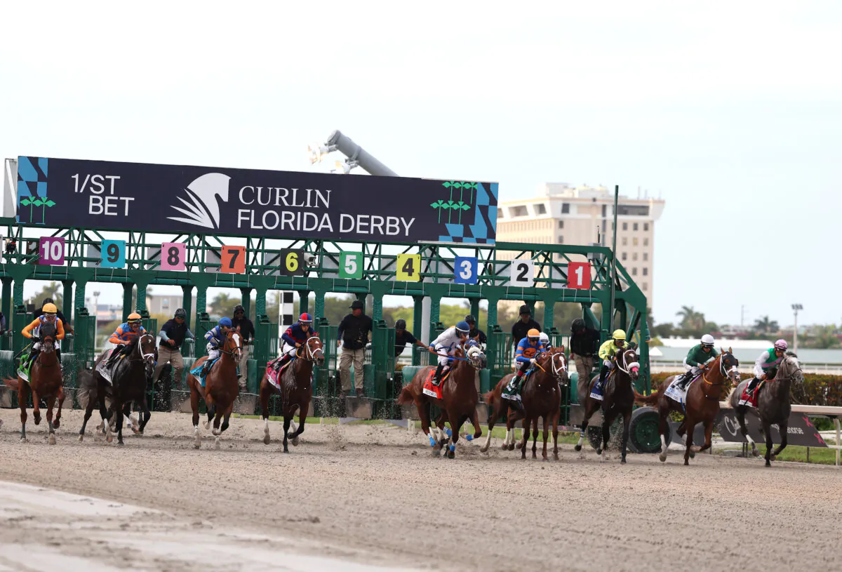 The field breaks from the starting gate during the Florida Derby at Gulfstream Park in Hallandale, Fla., on April 1, 2023. (Al Bello/Getty Images)