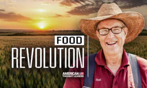 No Chemicals, No Vaccines, No Subsidies: Inside Joel Salatin’s Farming Revolution