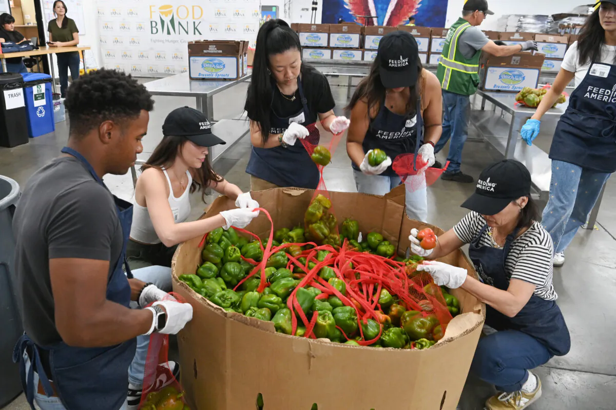 (L–R) Grant Hall, Priscilla Quintana, Sherry Cola, Marisela Zumbado, and Constance Zimmer attend a Feeding America Hunger Action Month event at Los Angeles Regional Food Bank on Sept. 13, 2024. (Jon Kopaloff/Getty Images for Feeding America)