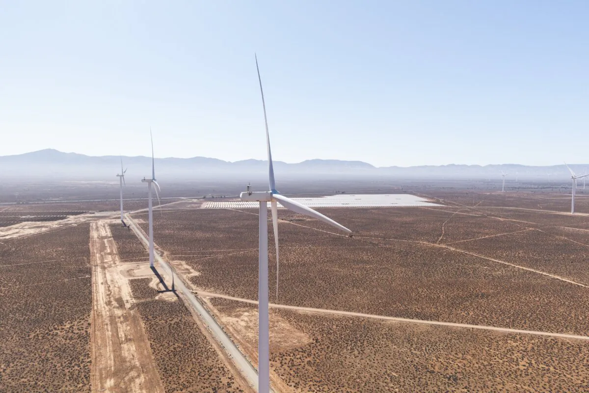 An aerial view of of wind turbines in Port Augusta, South Australia on Feb. 25, 2025. (Brook Mitchell/Getty Images)