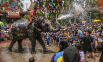 Day in Photos: New Year in Thailand, Missing Jogger Search, and Cavorting Cows
