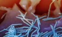 CDC Advisers Recommend Making RSV Vaccines Available to Younger Age Group