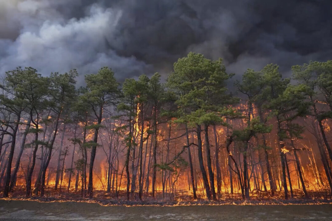 Man Charged With Arson in New Jersey Pine Barrens Fire, Officials Say ...