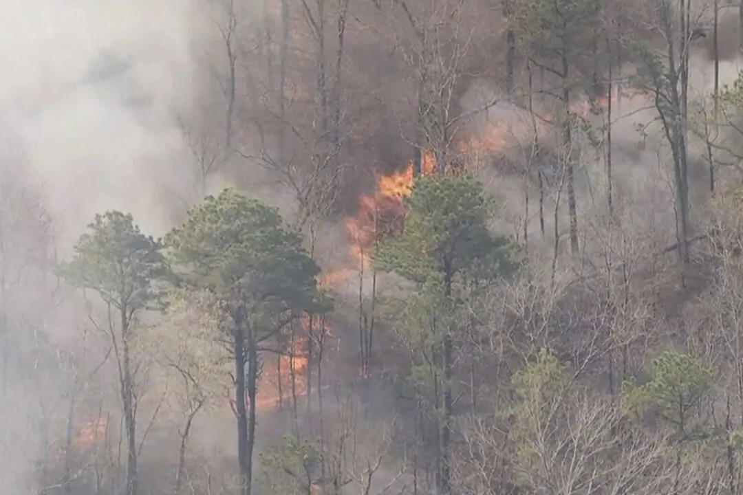 Smoke fills the air from a wildfire in Ocean County, N.J., on April 24, 2025. (WPVI-TV via AP)