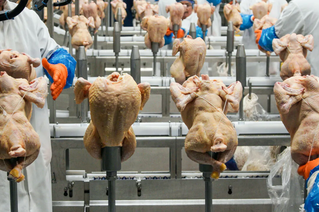 Workers process chickens at a poultry plant in Fremont, Neb., on Dec. 12, 2019. (Nati Harnik/AP Photo)