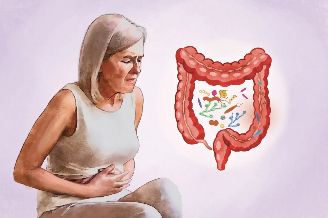 Gut dysbiosis is the most recognized form of microbial imbalance, but disruptions can occur throughout the body, affecting overall health. (The Epoch Times/Shutterstock)