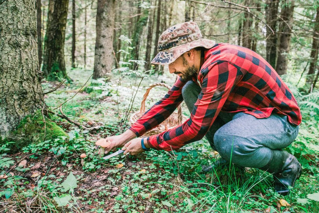 A Key Antioxidant for Longevity Is Fading From Our Food Supply