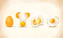 Eggs: A Complete Protein That Supports Brain and Muscle Function