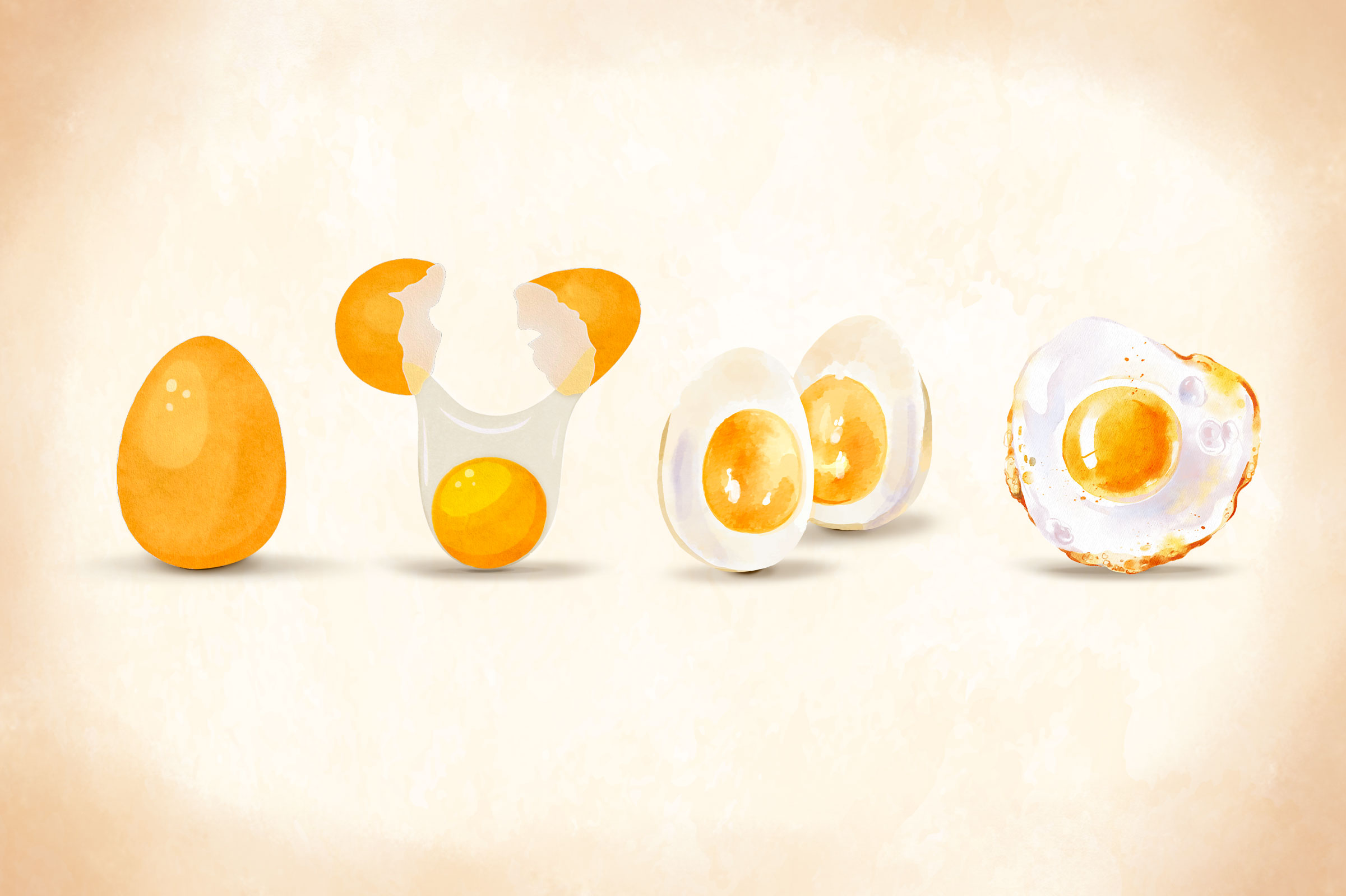 Eggs: A Complete Protein That Supports Brain and Muscle Function