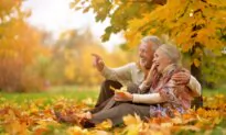 Cracking the Code: Understanding Social Security and Maximizing Your Benefits