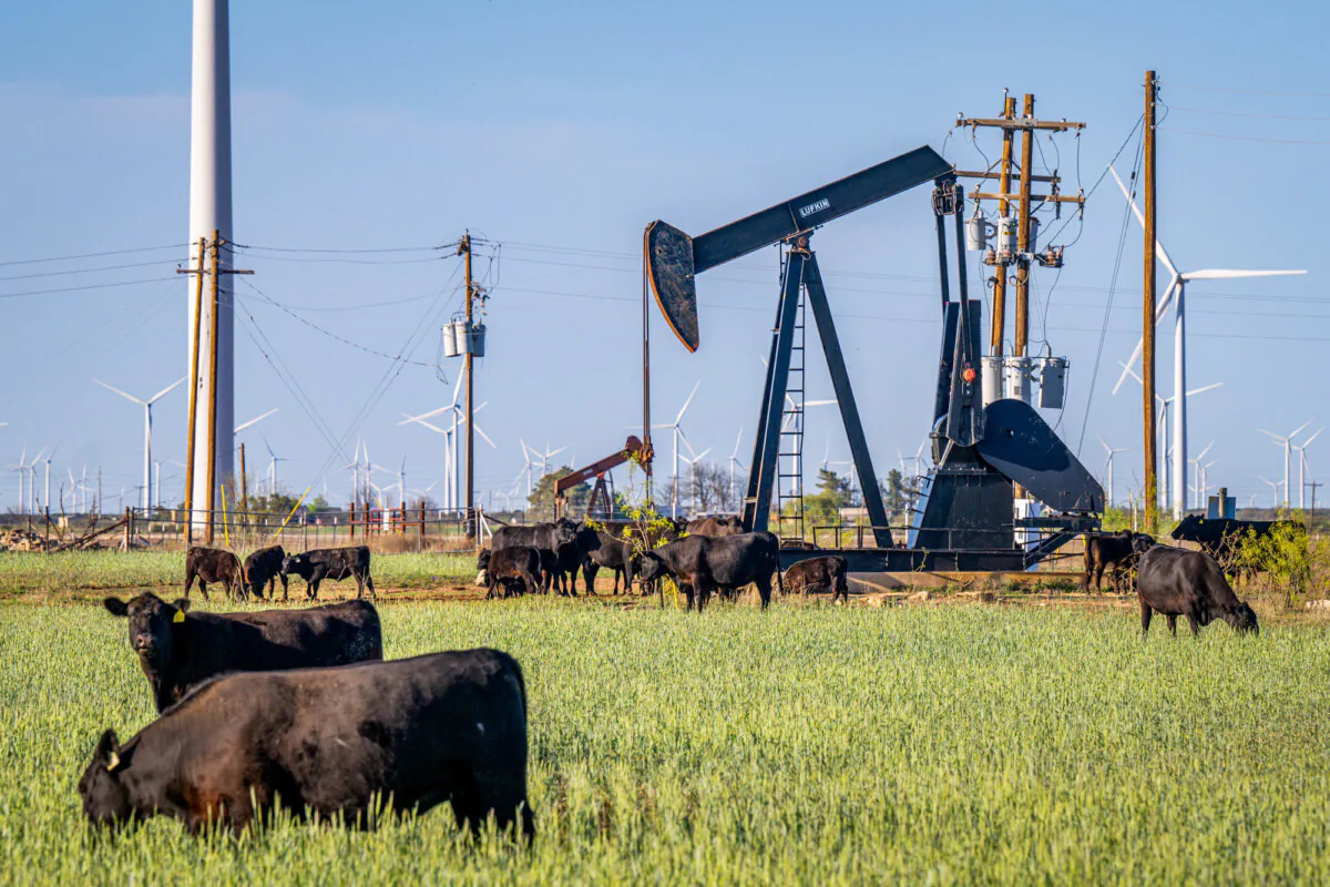 An oil pumpjack in a field in rural Texas, on April 8, 2025. (Brandon Bell/Getty Images)
