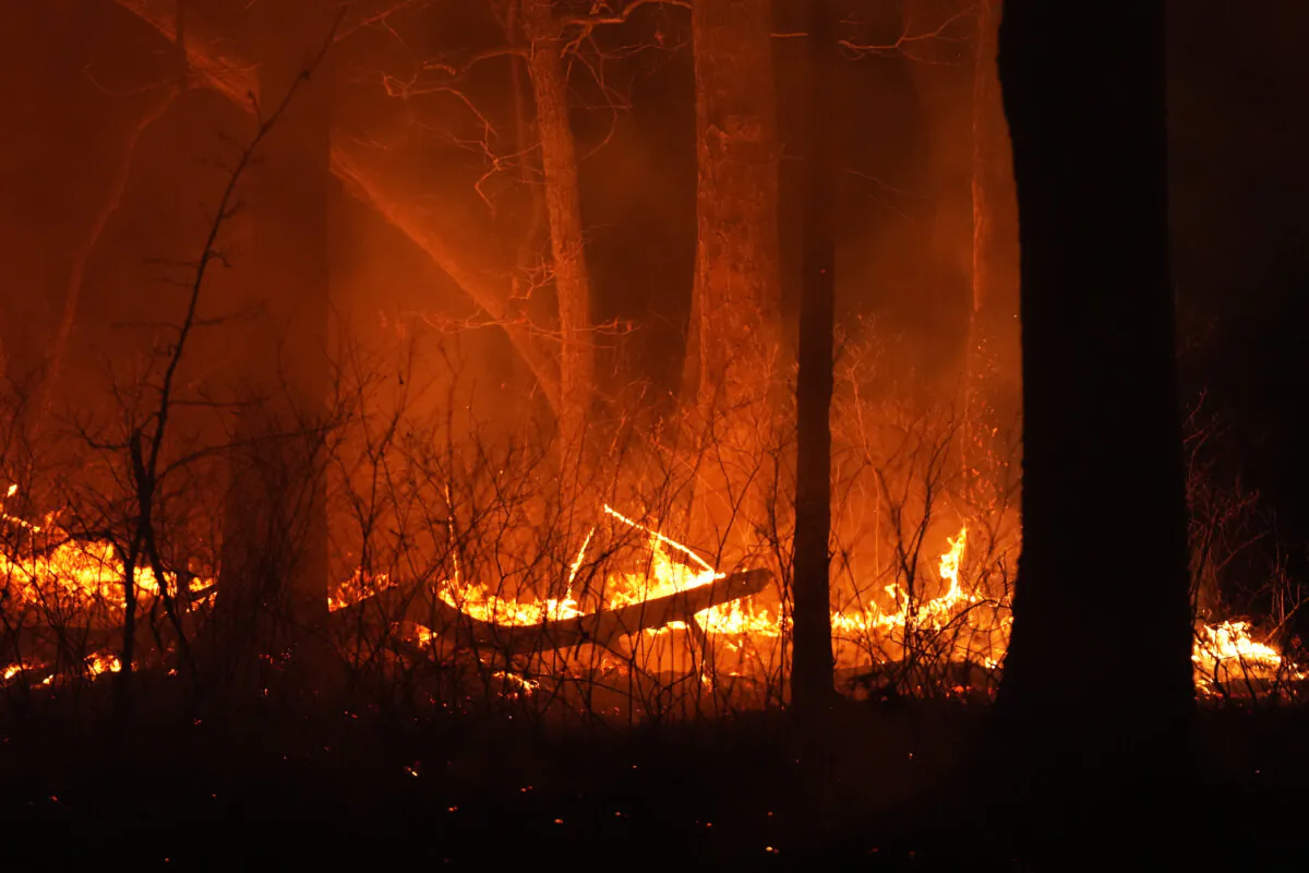 A fire burns near Waretown, N.J., on April 22, 2025. (Chris Szagola/AP Photo)