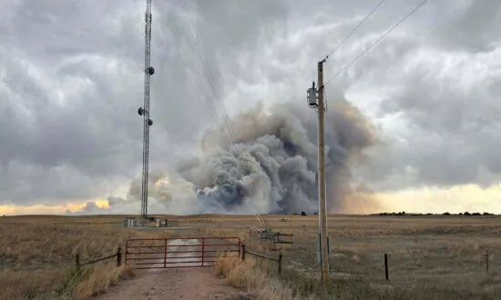 When the Grass Burns, so Does the Future of Beef