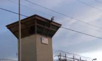 Judge Limits Guantanamo Deportations; US and Ukraine Sign Minerals Deal | NTD Good Morning (May 1)