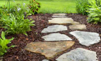 How Can I Increase Curb Appeal?