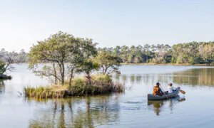 SC Has One of 10 Best New Resorts in the US, Travel + Leisure Says. See Where the Others Are