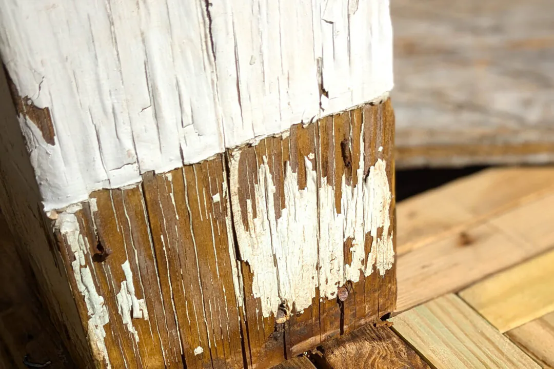 Why Your Exterior Paint Peels and Flakes