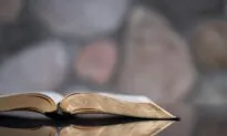 Intersections Between the Bible and Economics