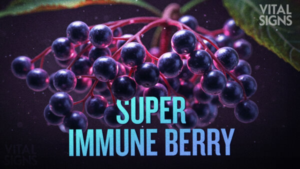 Sip This Much Elderberry to Curb Colds, Flu, Covid