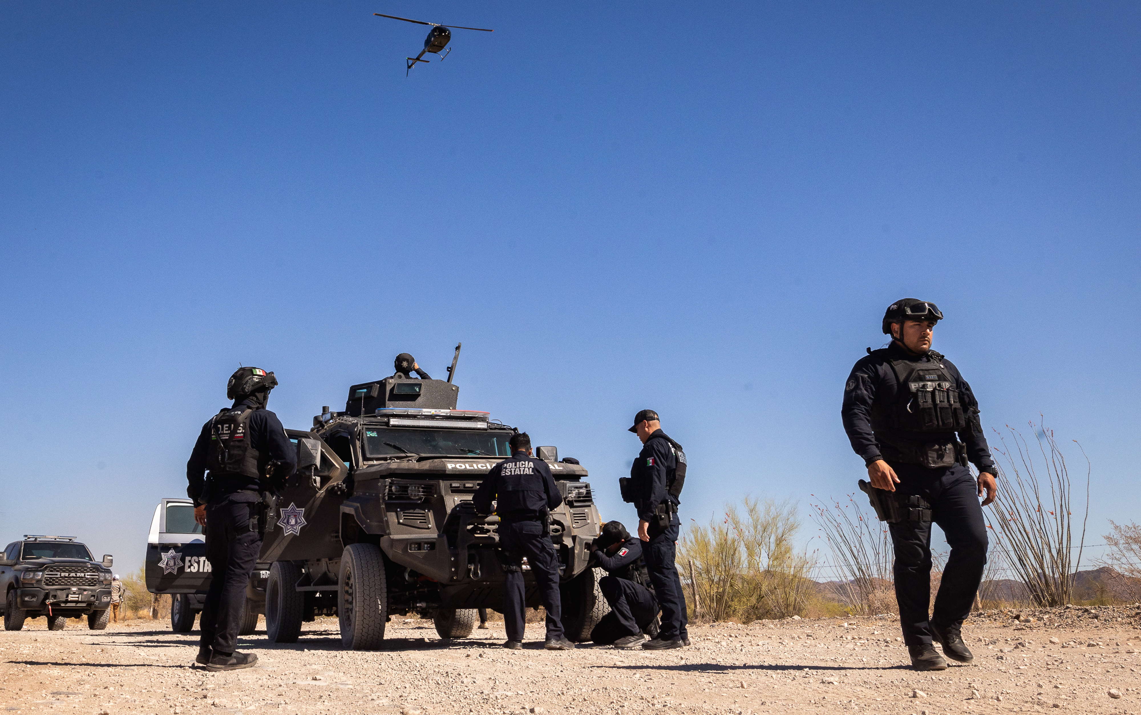 In War Against Cartels, Mexican State Finds New Ways to Fight Back