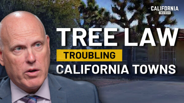 How Joshua Tree Protection Law Is Impacting California Cities | Curtis Yakimow | Madelaine LaVoie