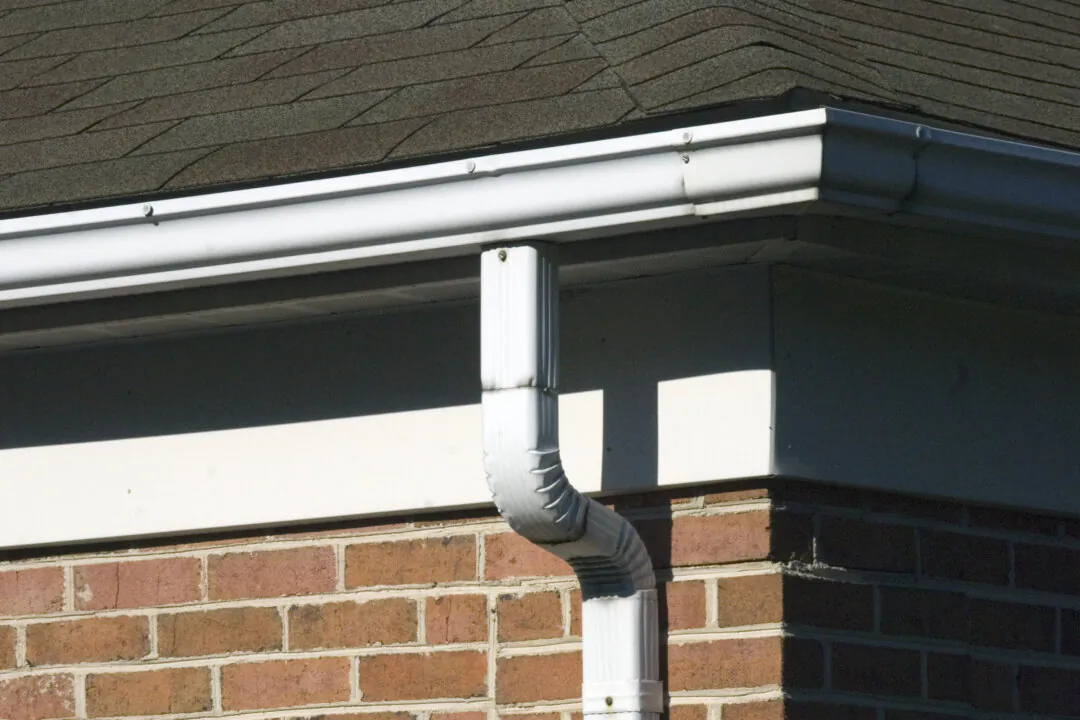 Clean and Repair Gutters