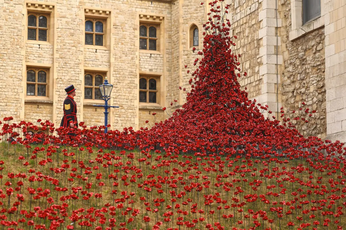 Yeoman Sergeant Dan Benson poses for a photograph among a new display of ceramic poppies, titled "the Tower Remembers," in London on May 5, 2025. Nearly 30,000 ceramic poppies have been installed at the Tower of London in commemoration of VE Day (Victory in Europe Day), marking the 80th anniversary of the Second World War victory. (Peter Nicholls/Getty Images)