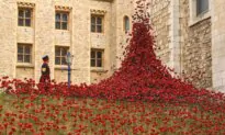 Day in Photos: Ceramic Poppies, Drone Attack in Sudan, and Grand Egyptian Museum
