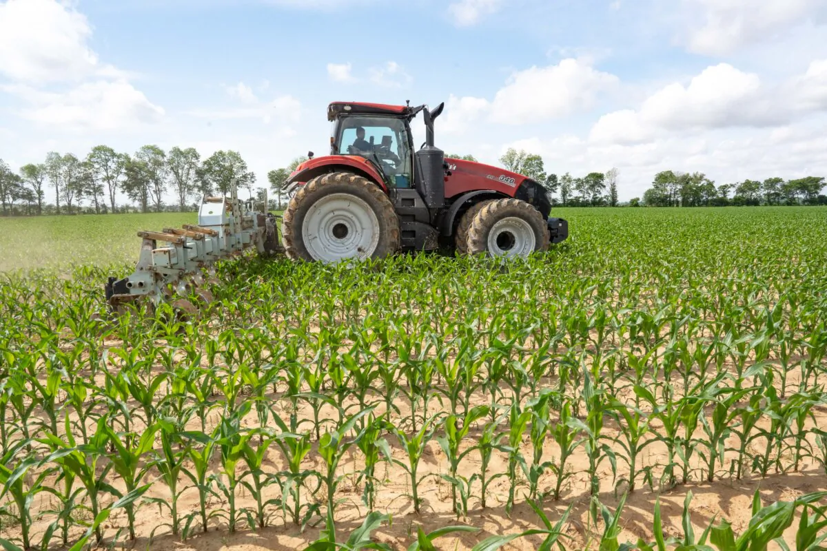 A tractor cultivates a corn field at Mencer Farms in Lake Village, Ark., on April 29, 2025. (Samira Bouaou/The Epoch Times)