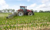 UN Warns Strait of Hormuz Disruption Could Lead to Global Food Price Crisis
