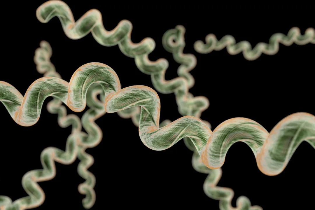 Old Antibiotic Shows Promise Against Lyme Disease at Ultra-Low Doses