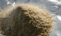 Chinese Chemicals Entered US, Went to Mexico, and Came Back as Fentanyl