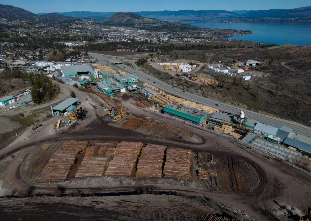 Logs at a sawmill, in West Kelowna, B.C., on April 4, 2025. (The Canadian Press/Darryl Dyck)