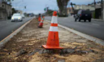 Man Ordered to Stand Trial for Allegedly Cutting Down 13 Trees in Los Angeles