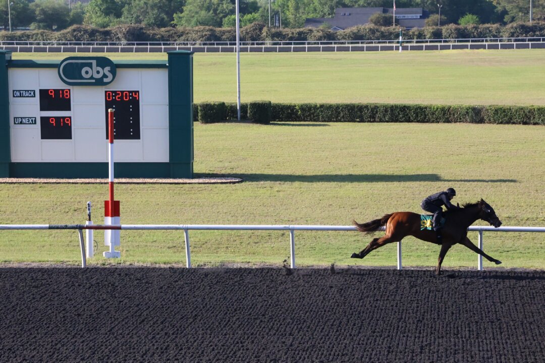 Proposed Legislation Threatening to Rein in Horse Racing in Florida Fails to Cross the Finish Line thumbnail