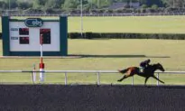 Proposed Legislation Threatening to Rein in Horse Racing in Florida Fails to Cross the Finish Line