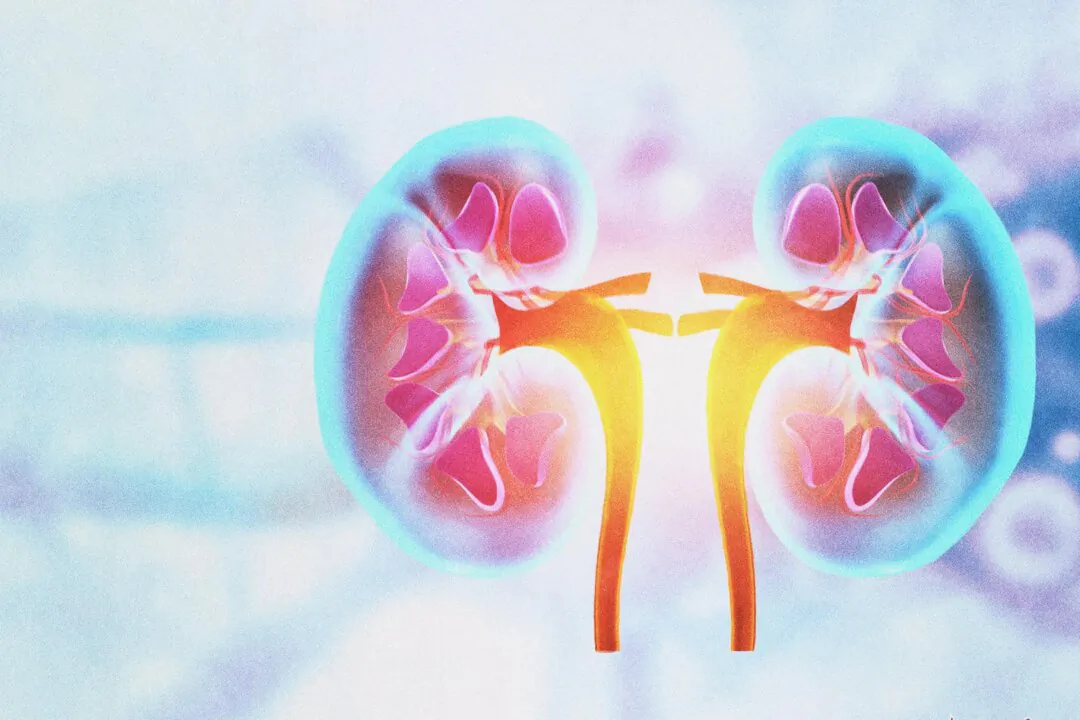 Understanding the Role of the Kidney in Traditional Chinese Medicine
