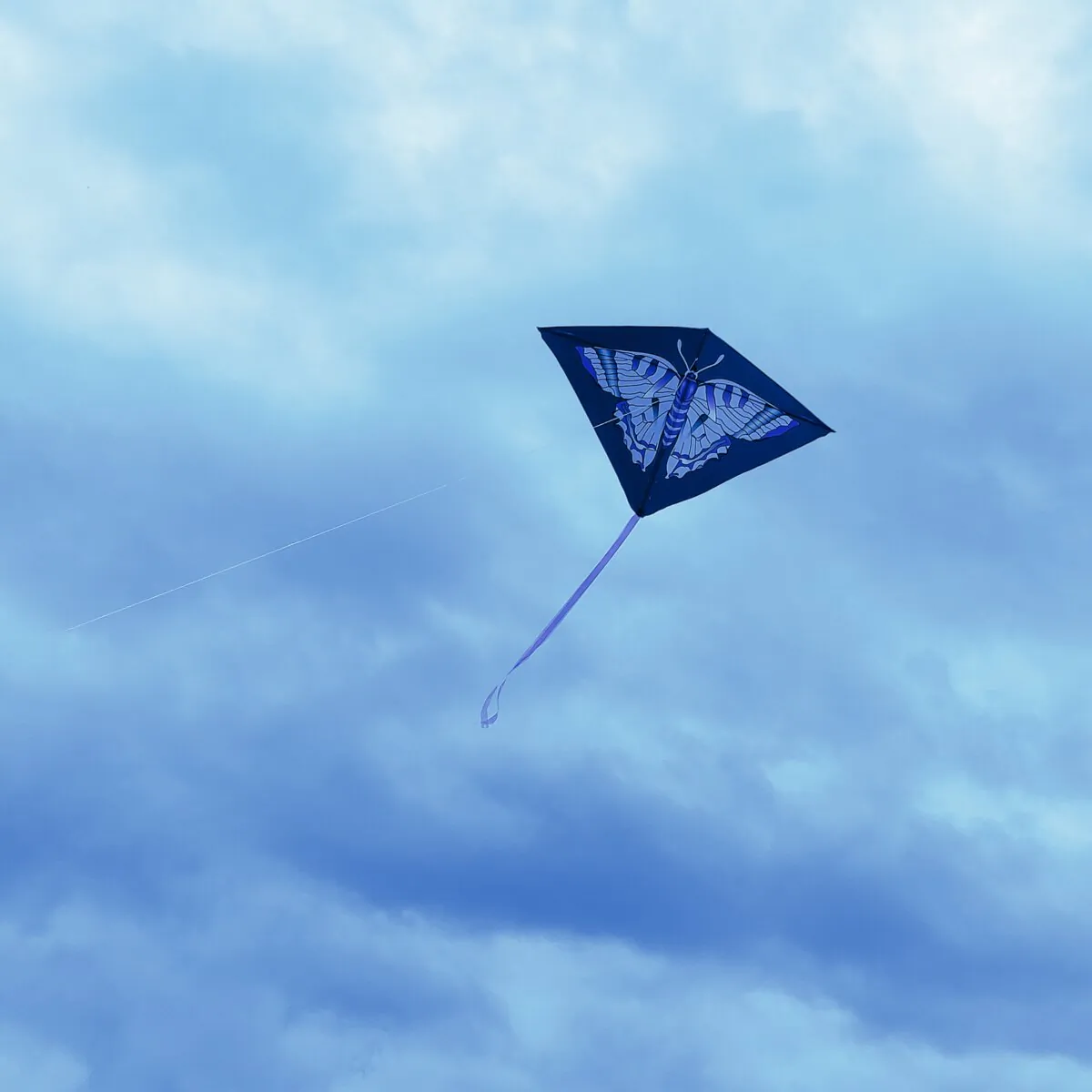 A kite becomes a symbol of resistance against communism, in "The Blue Kite." (Janettata/Shutterstock)