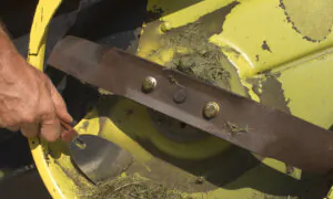 Tune up a Lawn Mower