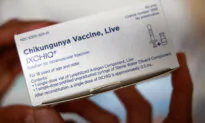 FDA Officials Explain Why They Paused Chikungunya Vaccination for Older Adults