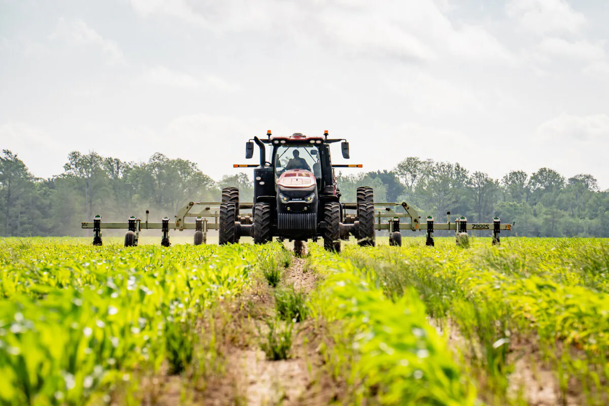A tractor cultivates a corn field at a farm in Lake Village, Ark., on April 29, 2025. (Samira Bouaou/The Epoch Times)