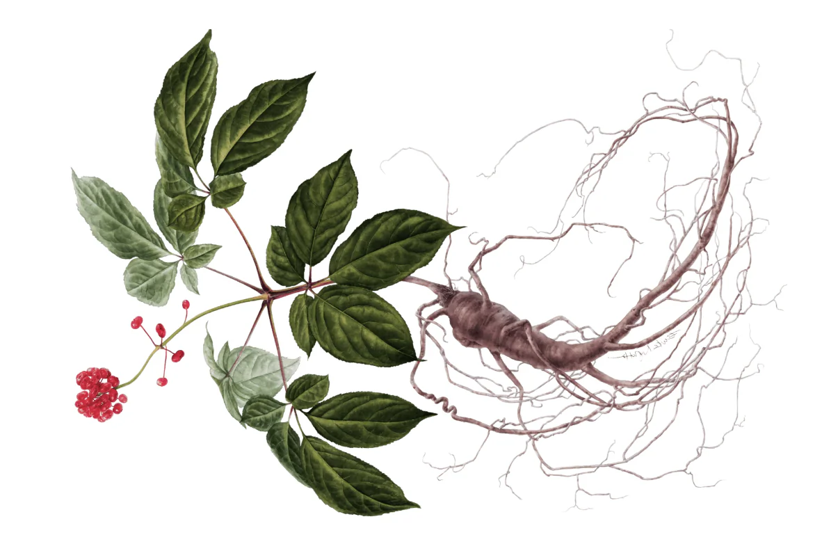 (Source: Ora Organic)