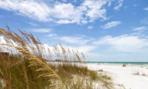 Florida Beach With ‘Pristine’ Setting Ranks Among World’s Best. Why It’s Special