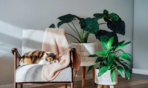 Making Space for a Better Life: A Conversation With Decluttering Expert April Tandy